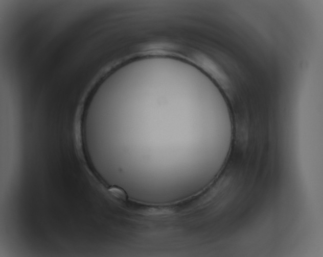 X0000101121384200807101533
