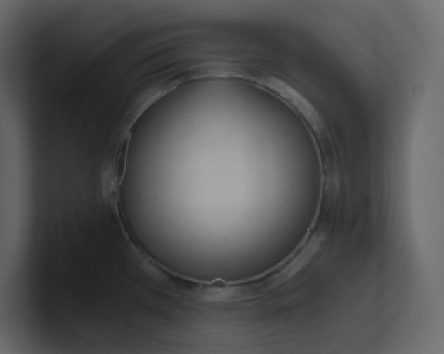 X0000101121385200807101533