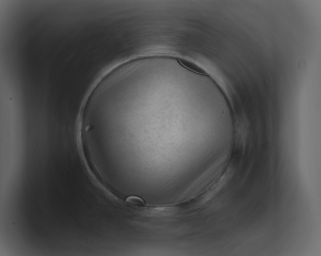 X0000101121390200807101533
