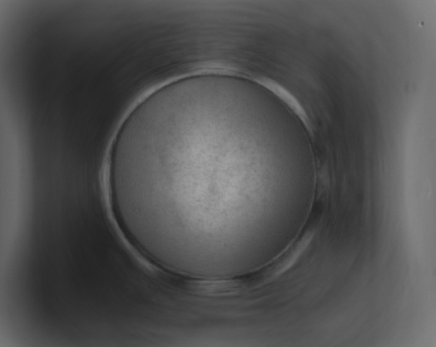 X0000101121391200807101533