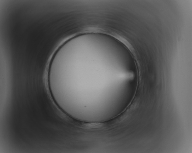 X0000101121392200807101533