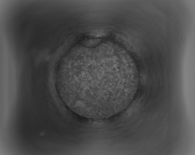 X0000101121393200807101532