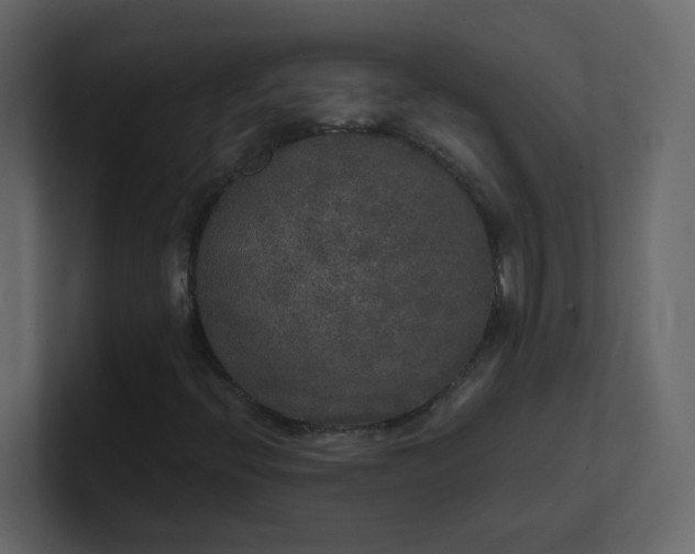 X0000101121396200807101532