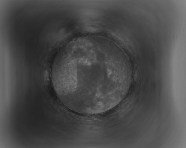 X0000101121397200807101532