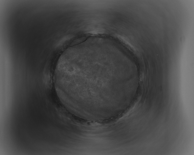 X0000101121398200807101532