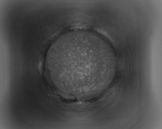 X0000101121399200807101532