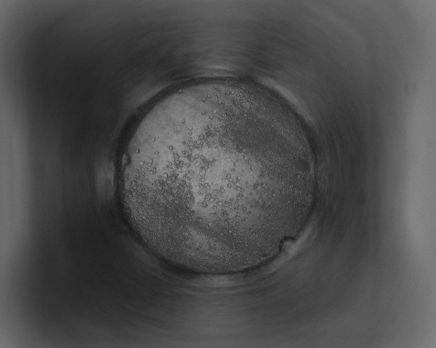 X0000101121402200807101533