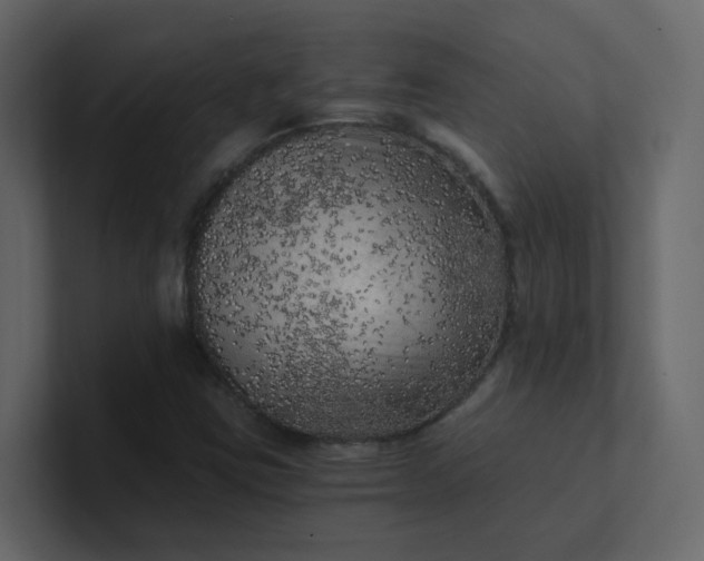 X0000101121403200807101533