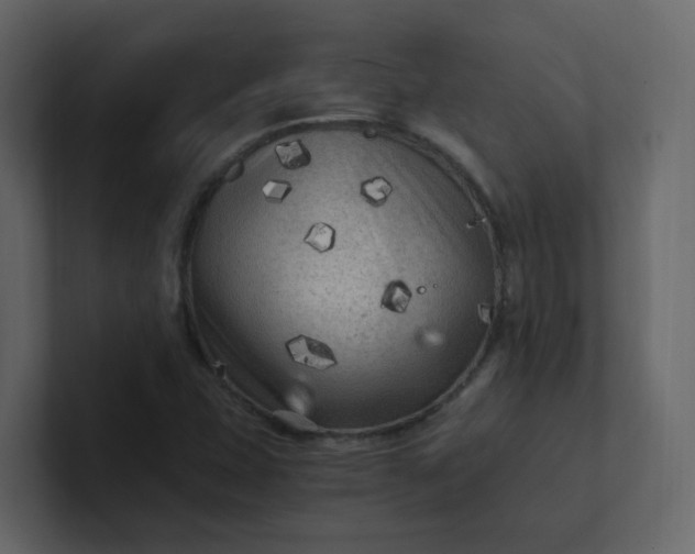 X0000101121407200807101533