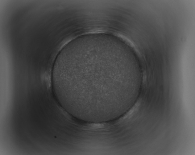 X0000101121409200807101533