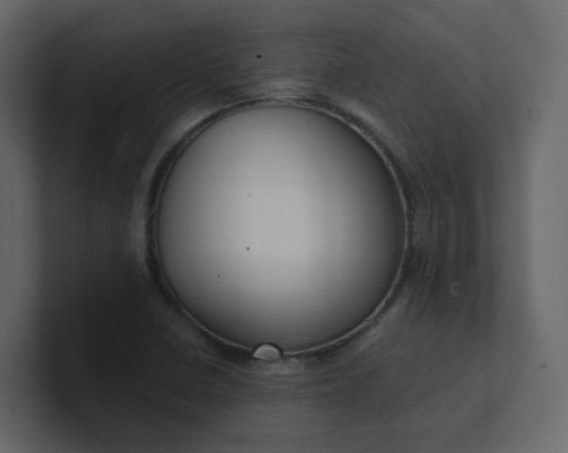 X0000101121410200807101533