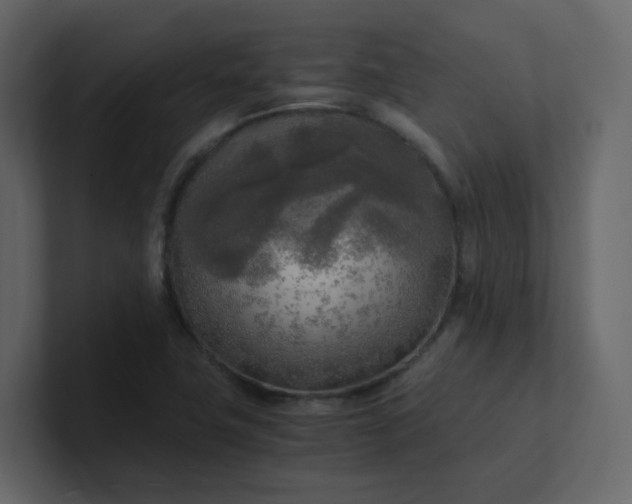X0000101121411200807101533