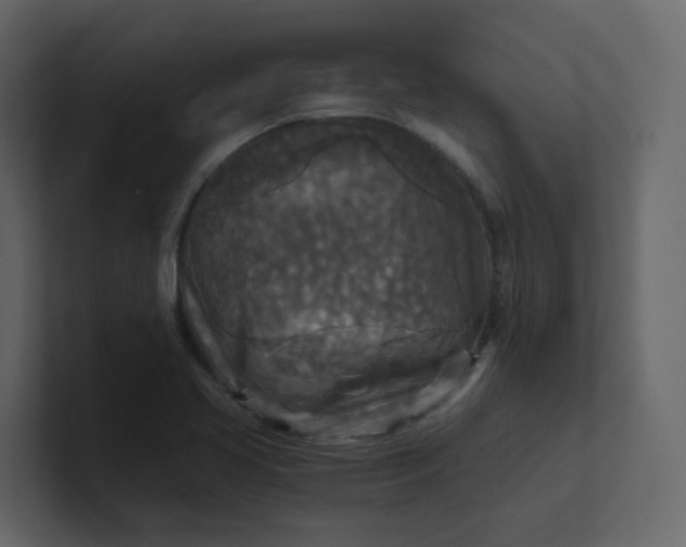 X0000101121413200807101533