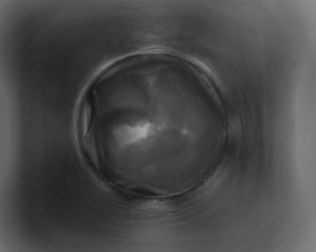 X0000101121414200807101533