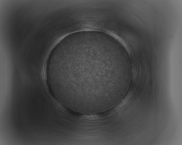 X0000101121415200807101533