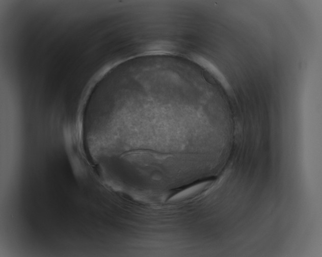 X0000101121419200807101533