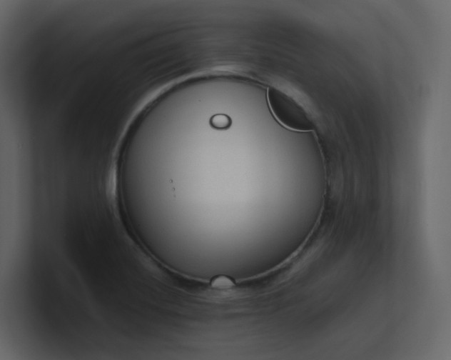 X0000101121420200807101533