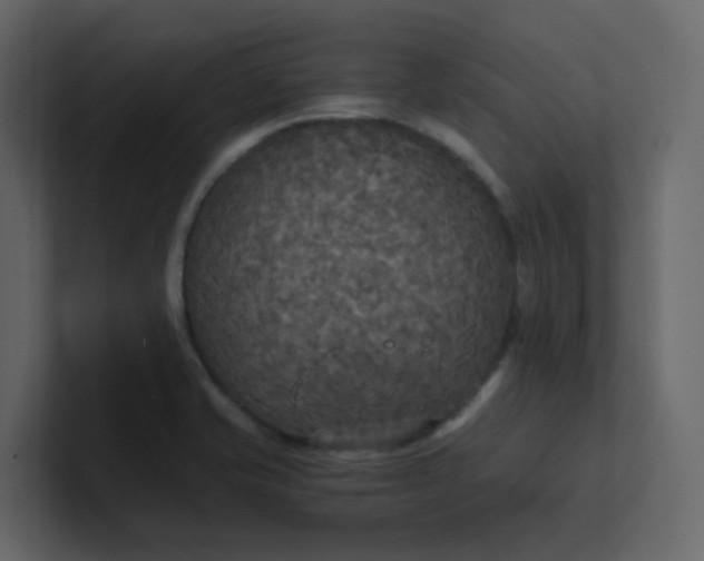 X0000101121421200807101533