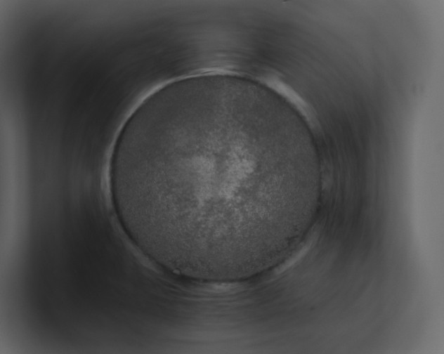 X0000101121423200807101533