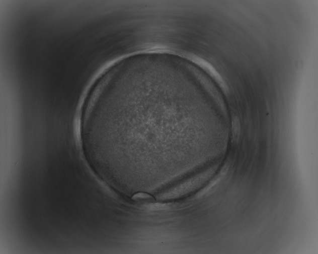 X0000101121424200807101533