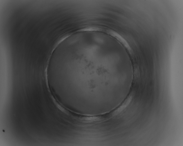 X0000101121425200807101533