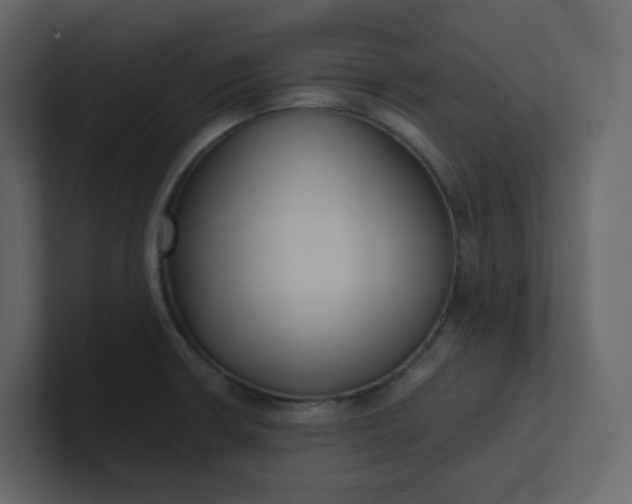 X0000101121426200807101533