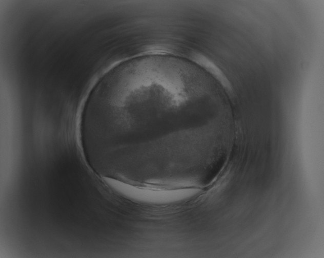 X0000101121427200807101533