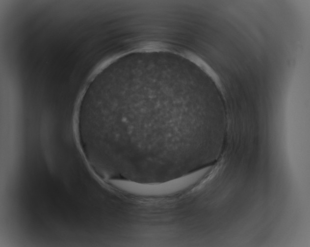 X0000101121429200807101533