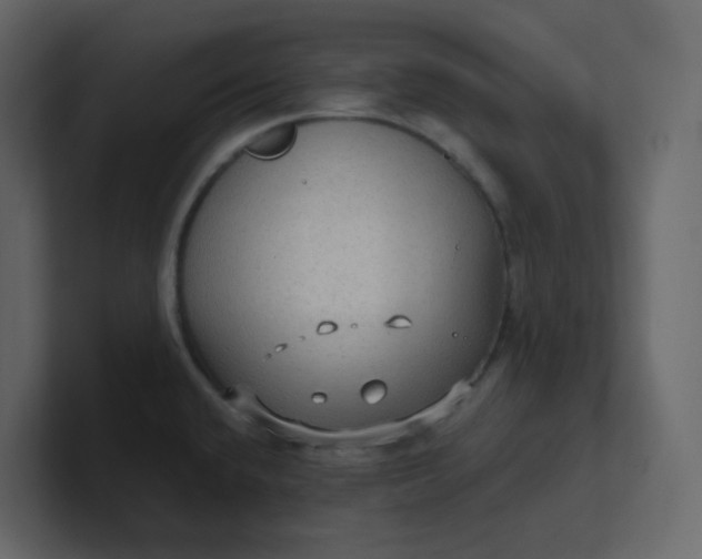X0000101121432200807101533