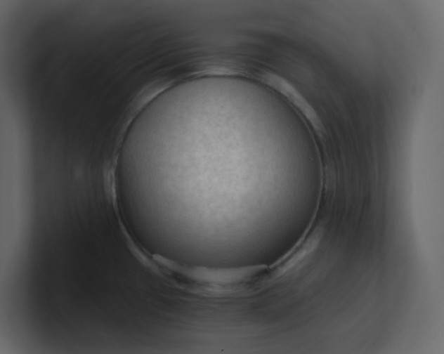 X0000101121433200807101533