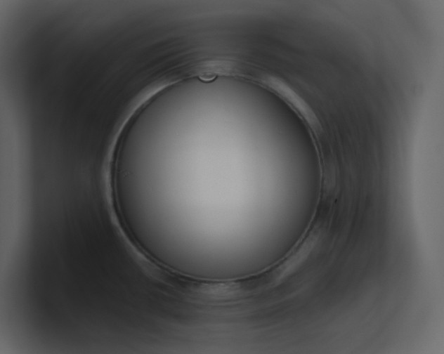 X0000101121434200807101533