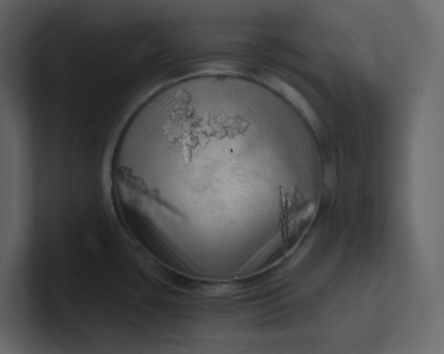 X0000101121435200807101533