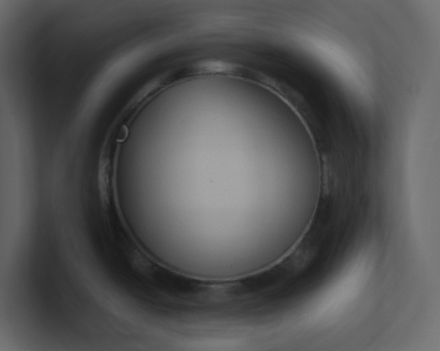 X0000101121438200807101533