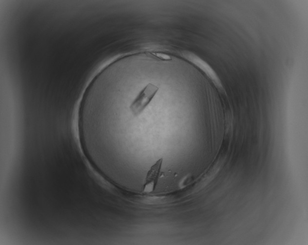 X0000101121439200807101533