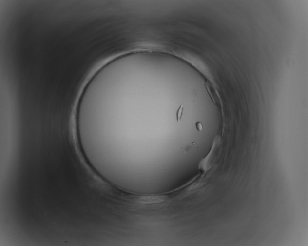 X0000101121440200807101533