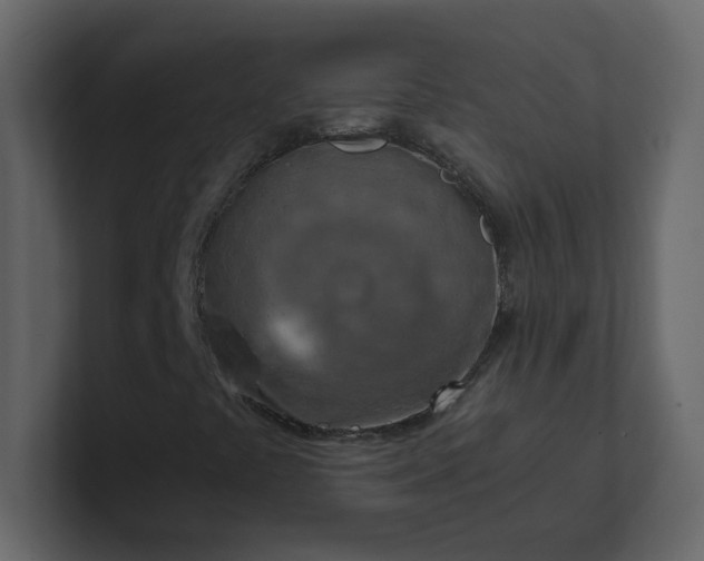X0000101121441200807101532
