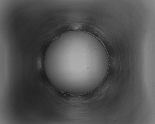 X0000101121442200807101532