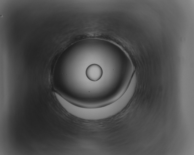X0000101121444200807101532