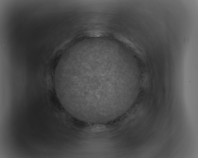 X0000101121446200807101532