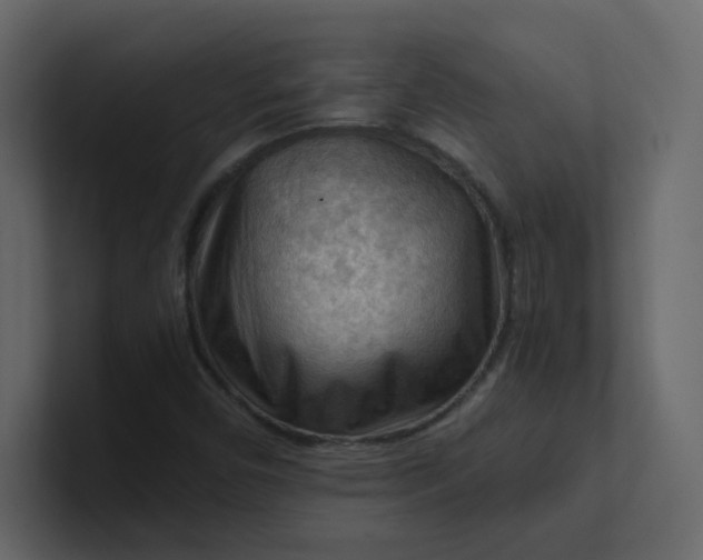 X0000101121450200807101532