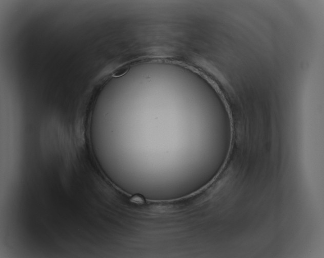 X0000101121451200807101532