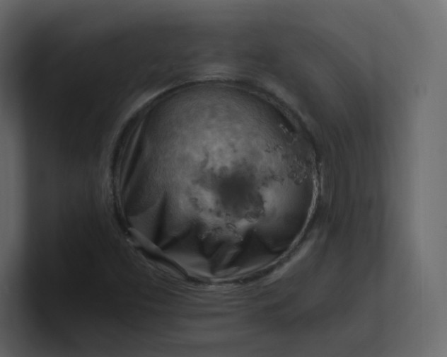 X0000101121453200807101532
