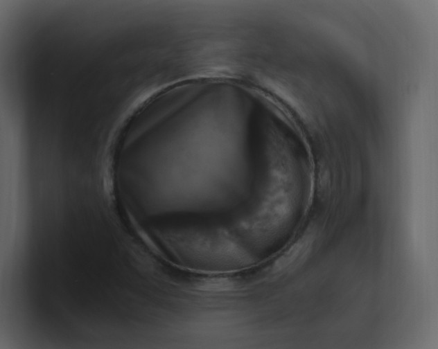 X0000101121455200807101532