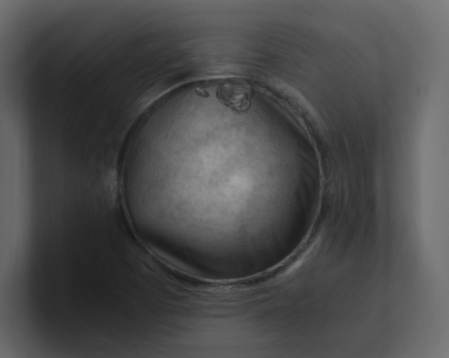 X0000101121457200807101532