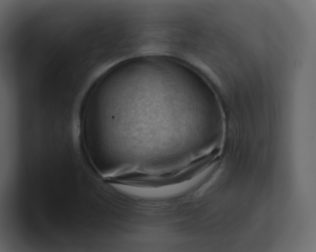 X0000101121461200807101532