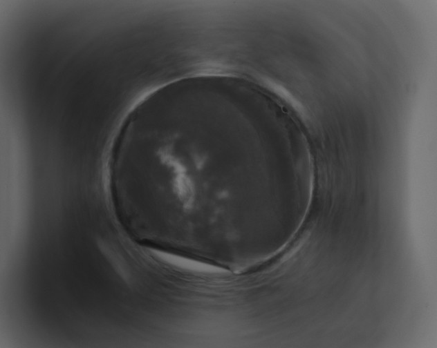 X0000101121463200807101532