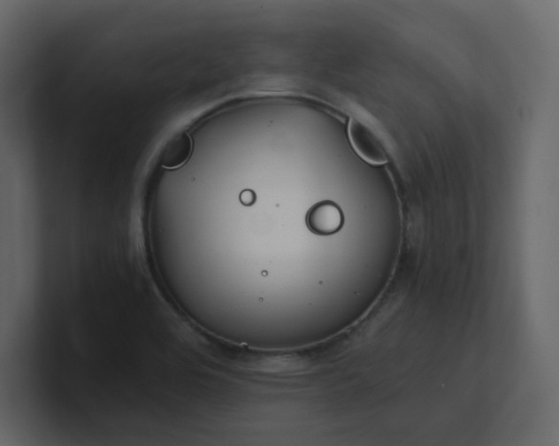 X0000101121464200807101532