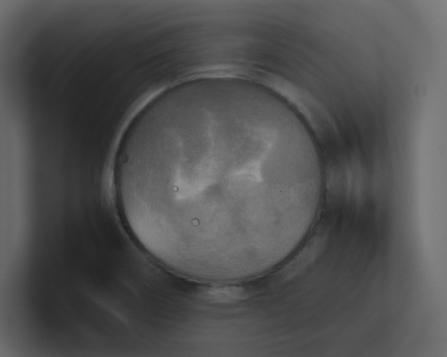 X0000101121466200807101532