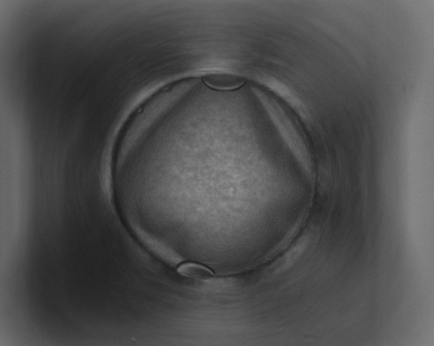 X0000101121469200807101532