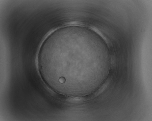 X0000101121474200807101532